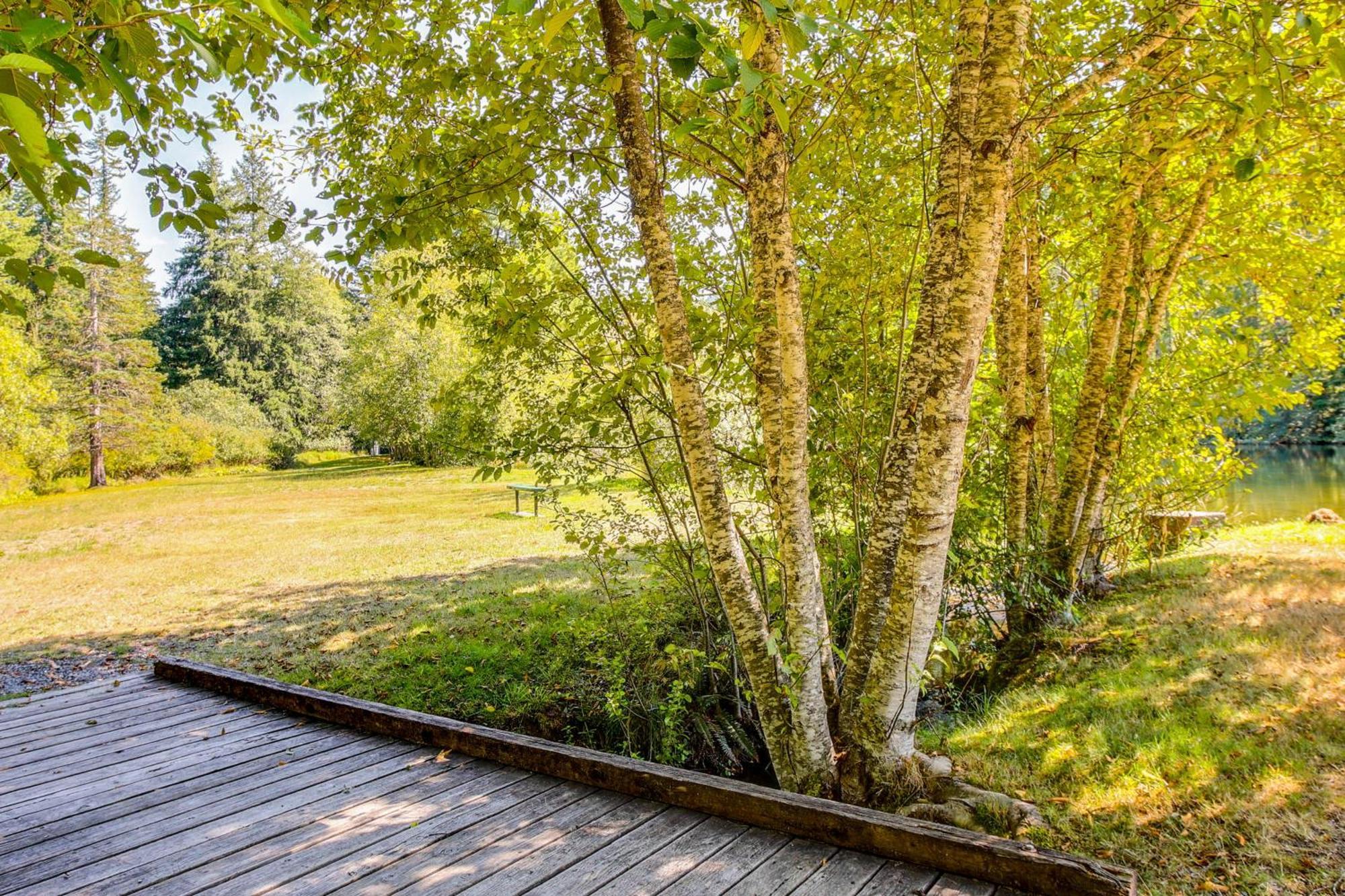 Quaint Ashford Studio Stay 5 Mi To Mt Rainier! Exteriér fotografie